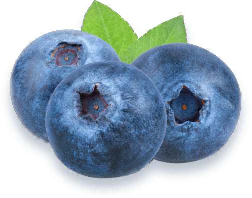 blueberry b